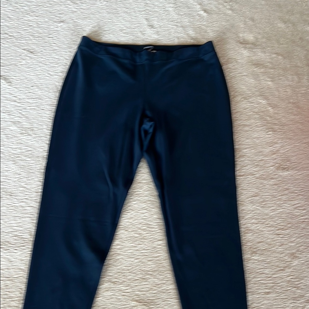 Eileen Fisher Deep Blue pants
